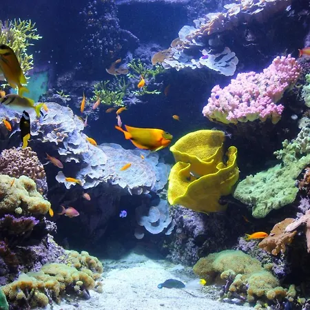 Blue Cosy Et Calme Proche Du Centre Avec Tv Et Wifi *